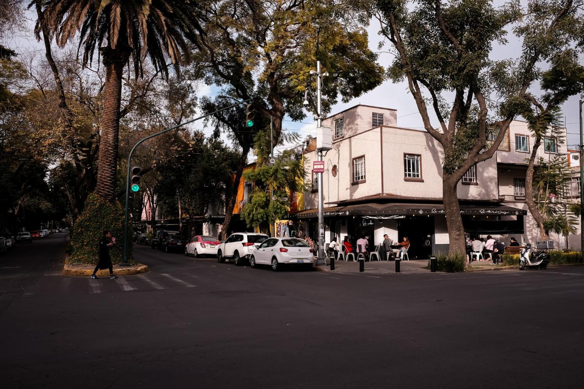Modern Studio, Rooftop Charm, Cdmx Center2 Appartement Mexico