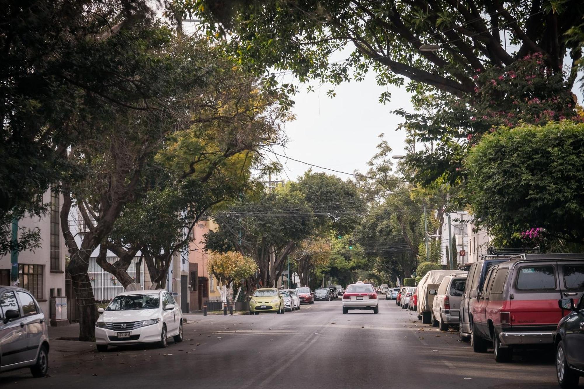 Modern Studio, Rooftop Charm, Cdmx Center2