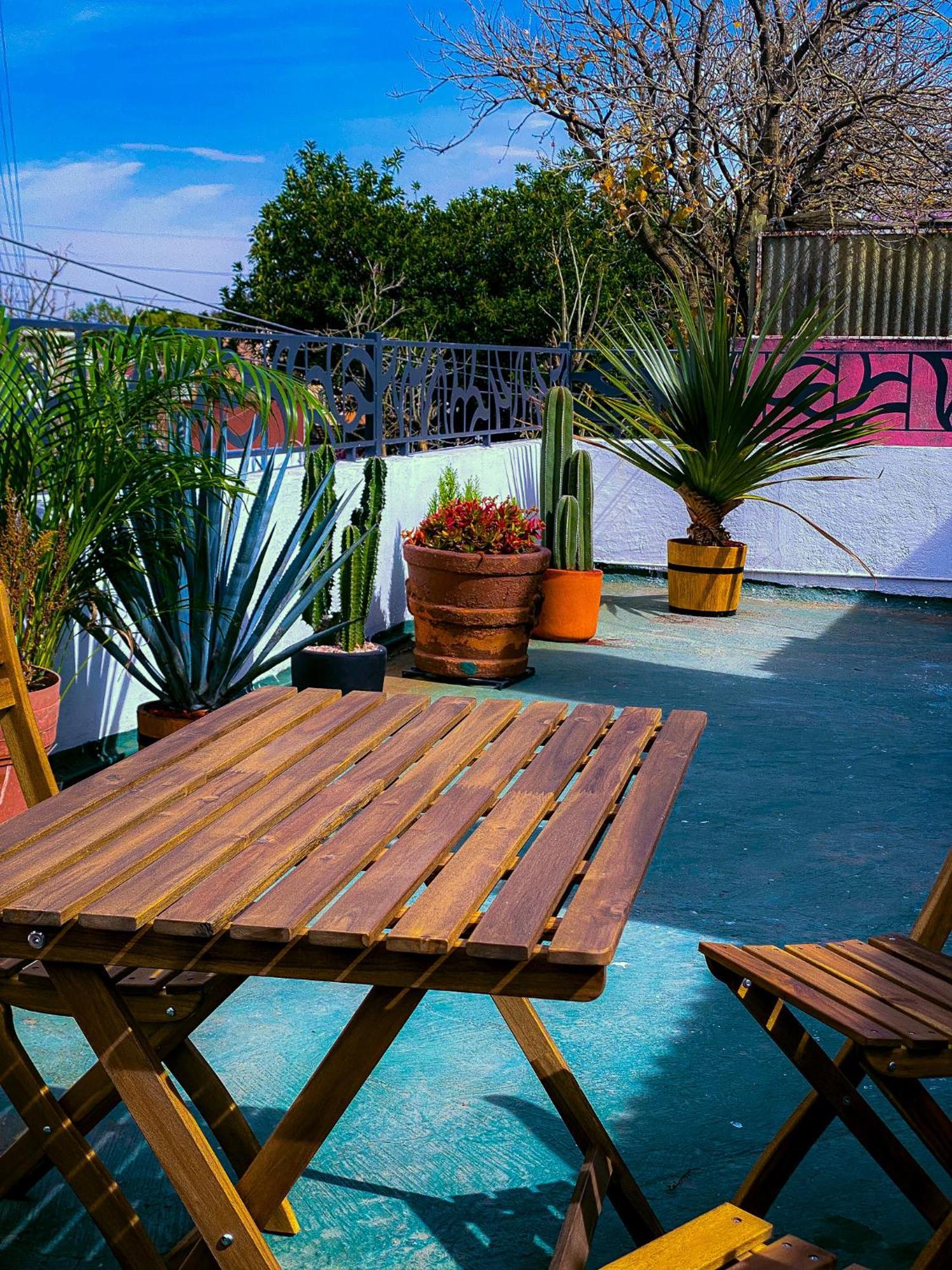 Modern Studio, Rooftop Charm, Cdmx Center2 Appartement *